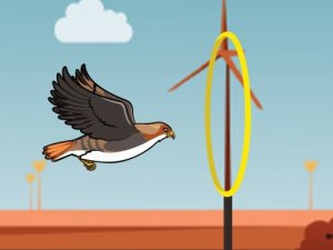 Flying Bird Online Game