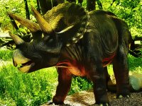Triceratops Dinosaur Puzzle Online Game