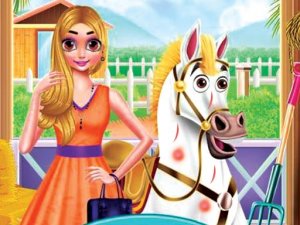 Princess Pet Treatment Online Game