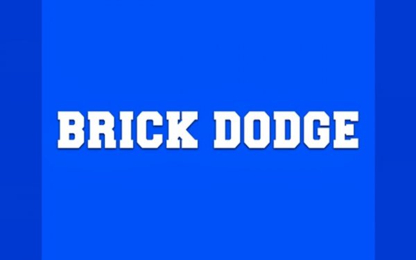 Brick Dodge - Falling Block Survival Game