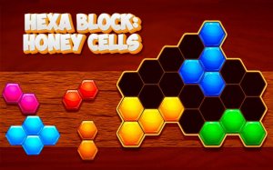 Hexa Block Honey Cells - Hexagon Puzzle Game