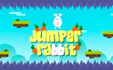 Jumper Rabbit: Carrot Quest