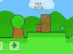Twin Leaf Woodland Adventure