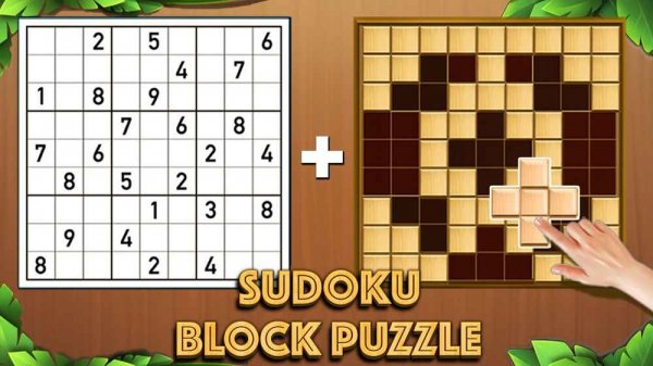 Sudoku Block Puzzle Online Game